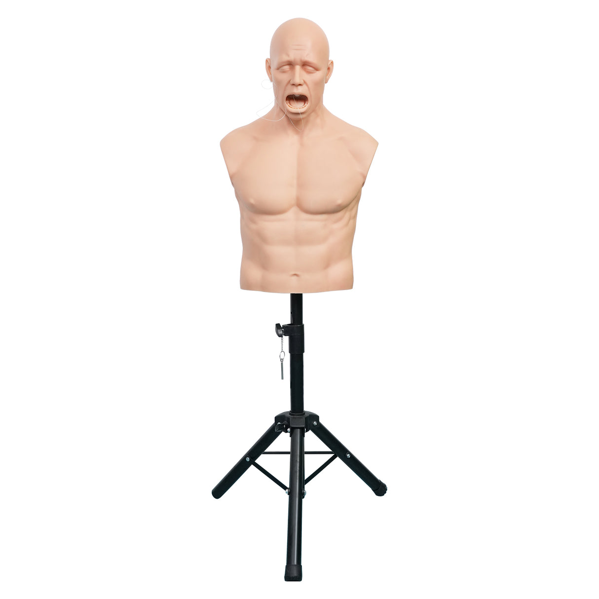 Adult Heimlich Maneuver Training Manikin with Adjustable Height