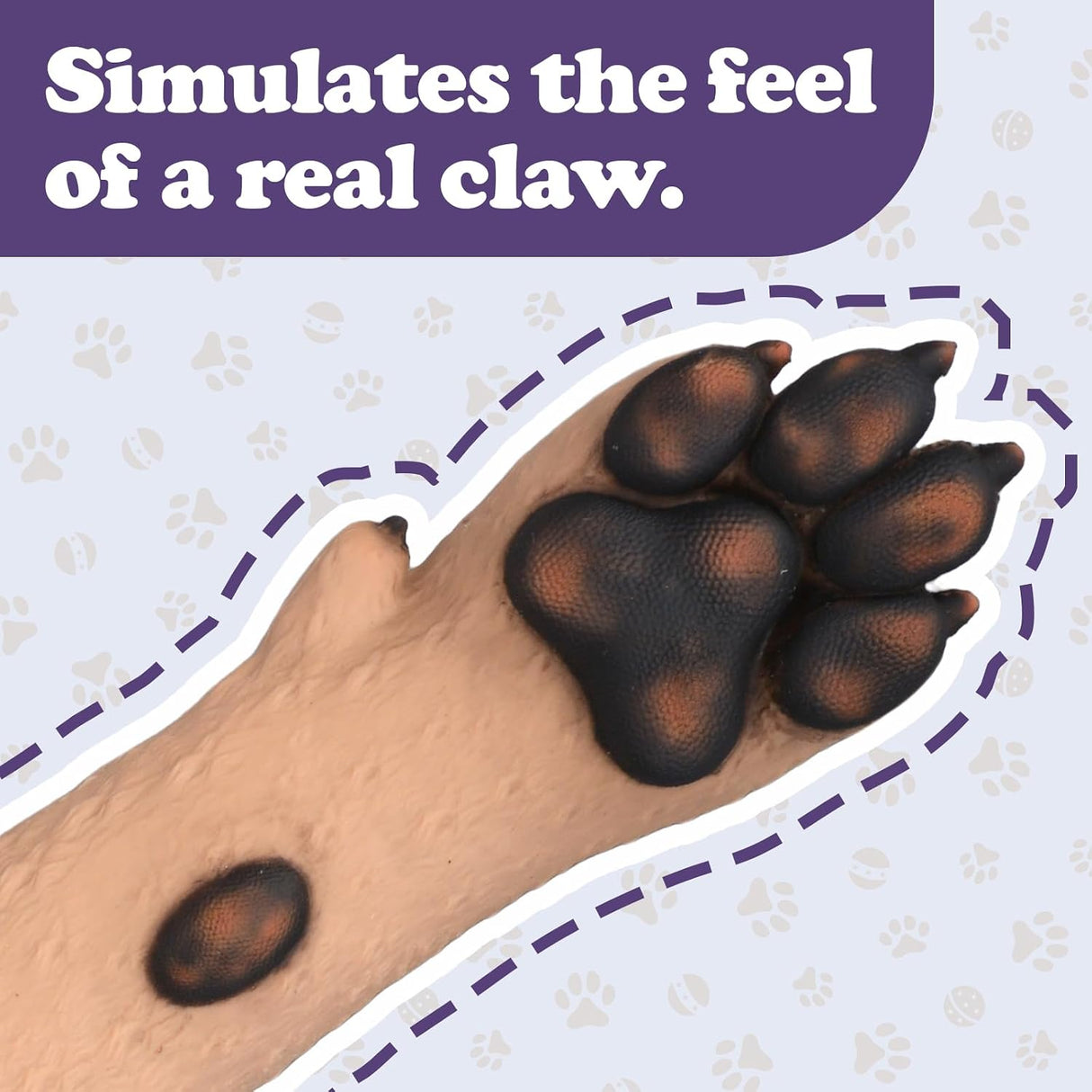 Canine IV Catheter Training Foreleg Model