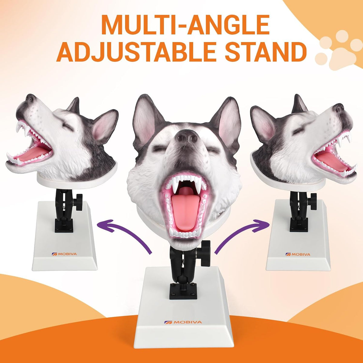 Canine Airway Intubation Trainer