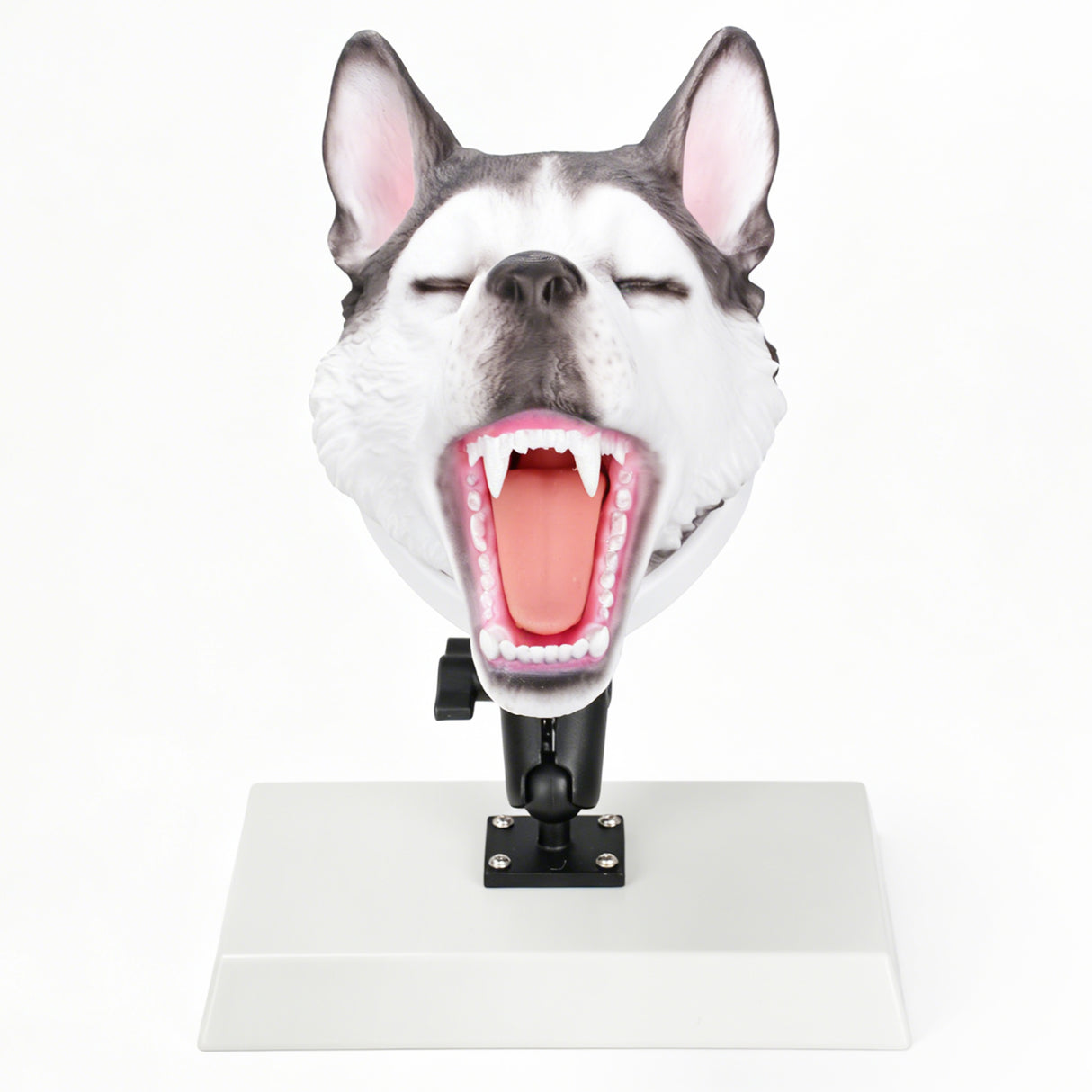 Canine Airway Management Trainer