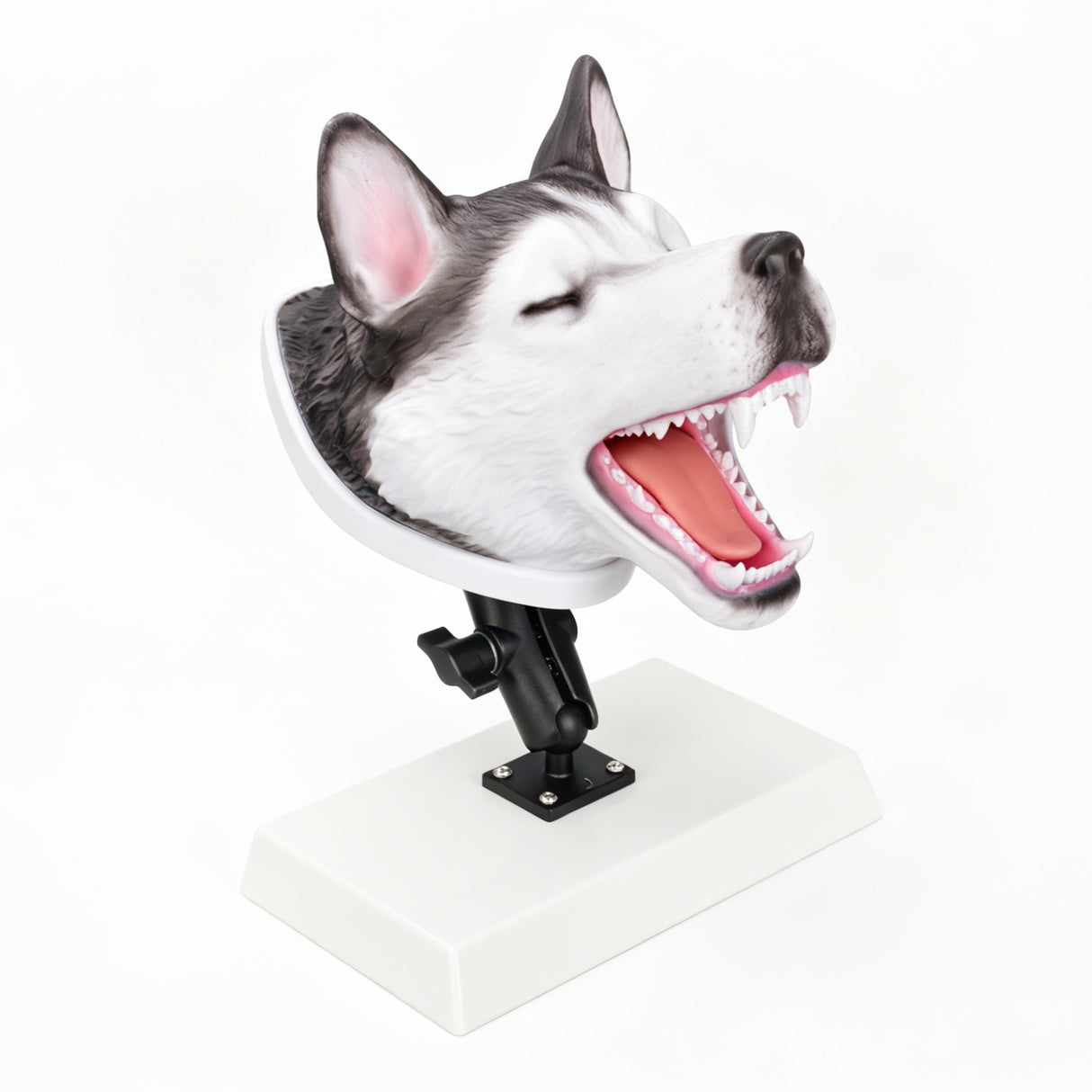 Canine Airway Management Trainer