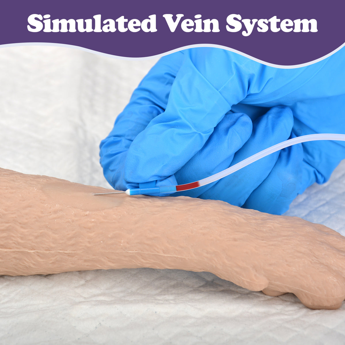 Feline IV Practice Kit with Forelimb Model