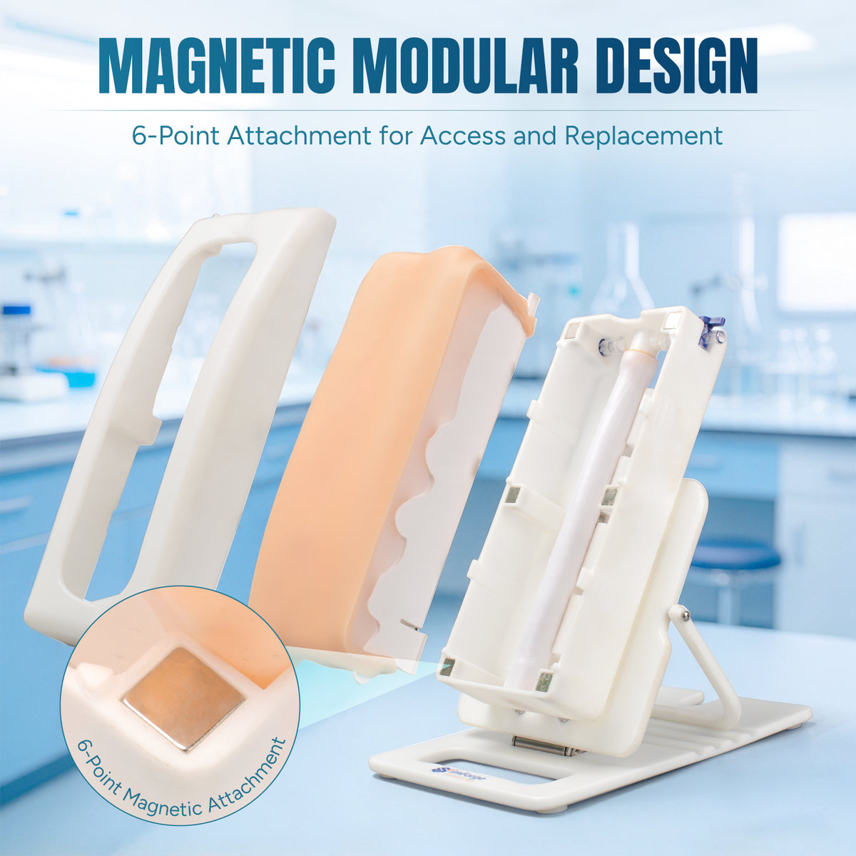 Portable Adult Lumbar Puncture Trainer