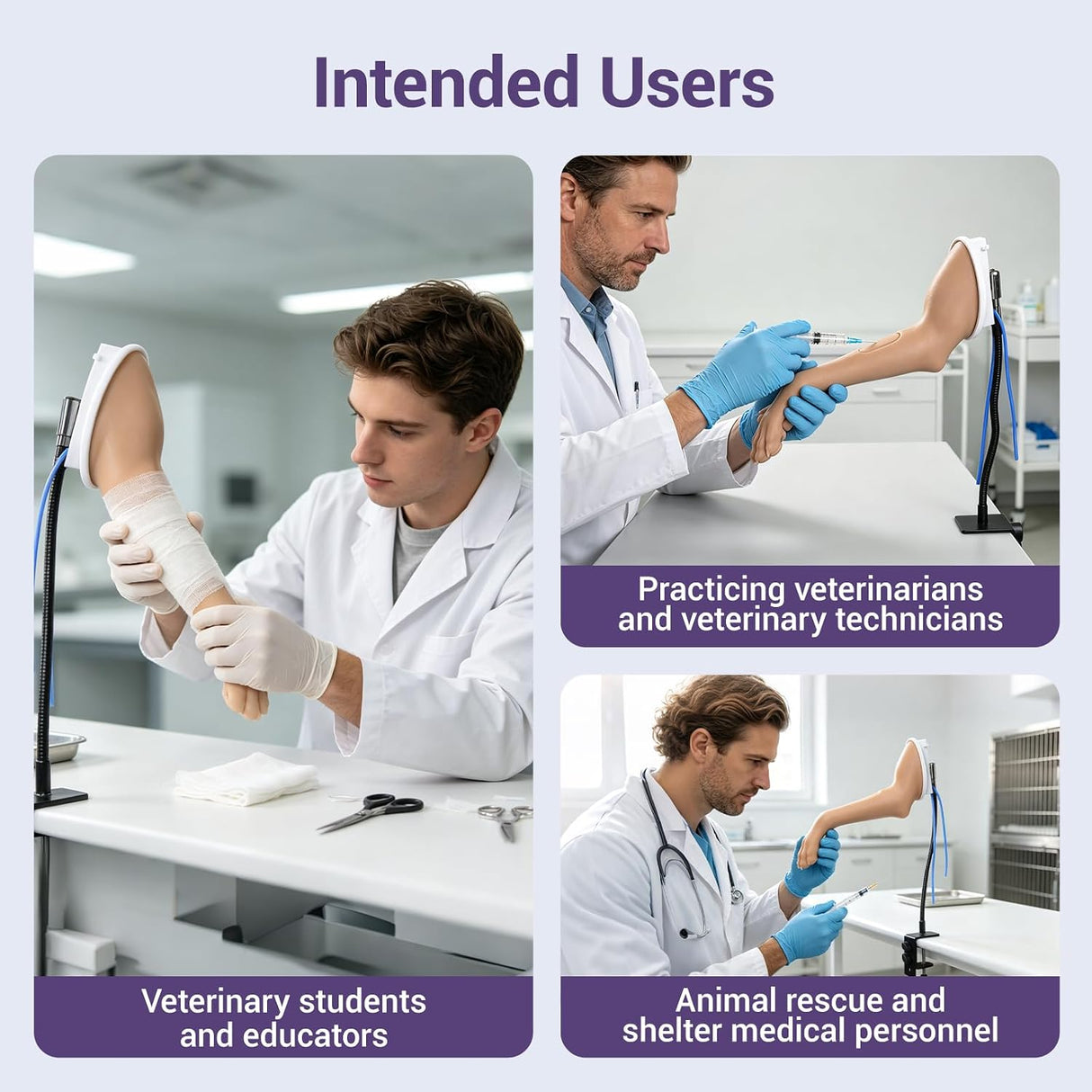 Canine Forelimb IV Injection & Bandaging Training Model