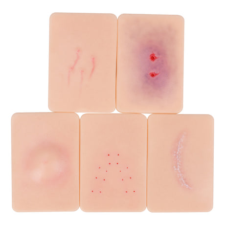 Animal & Insect Bite Wound Simulation Moulage Set