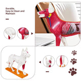 Canine Acupuncture Training Model