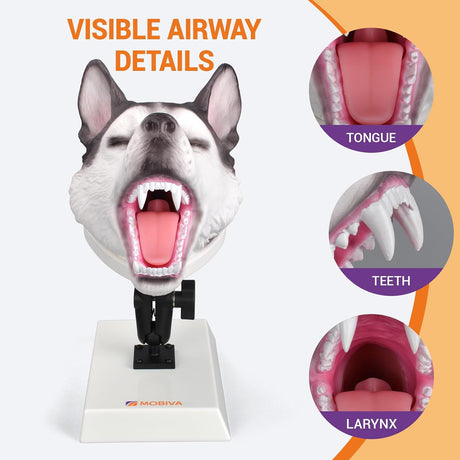 Canine Airway Intubation Trainer