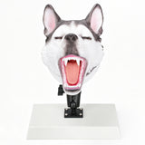 Canine Airway Management Trainer