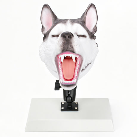 Canine Airway Management Trainer