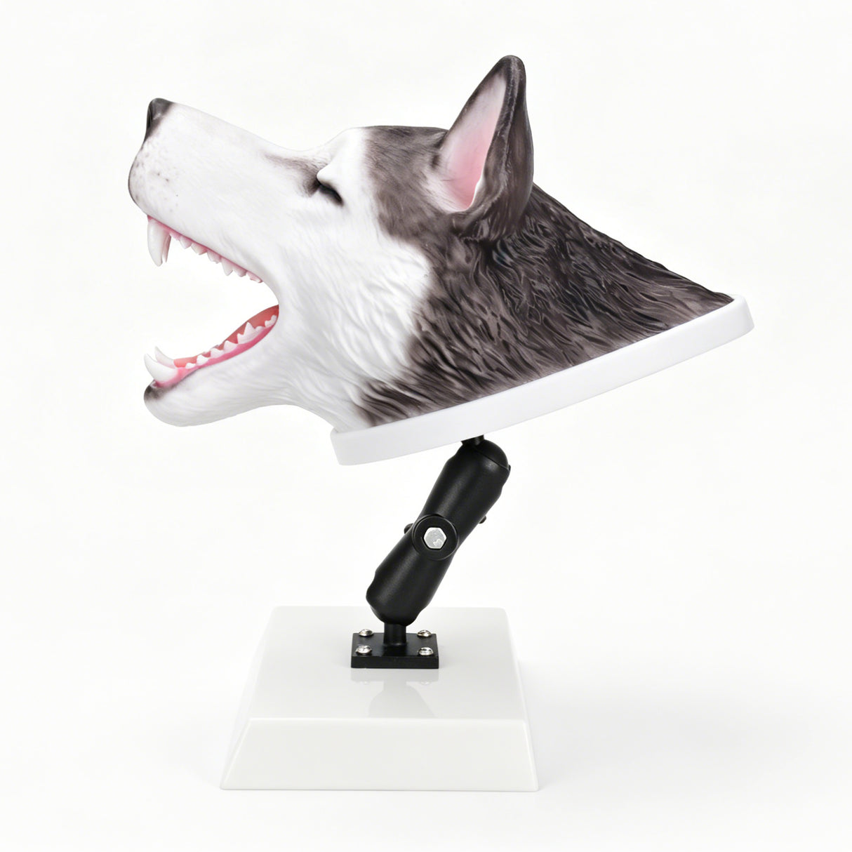 Canine Airway Management Trainer