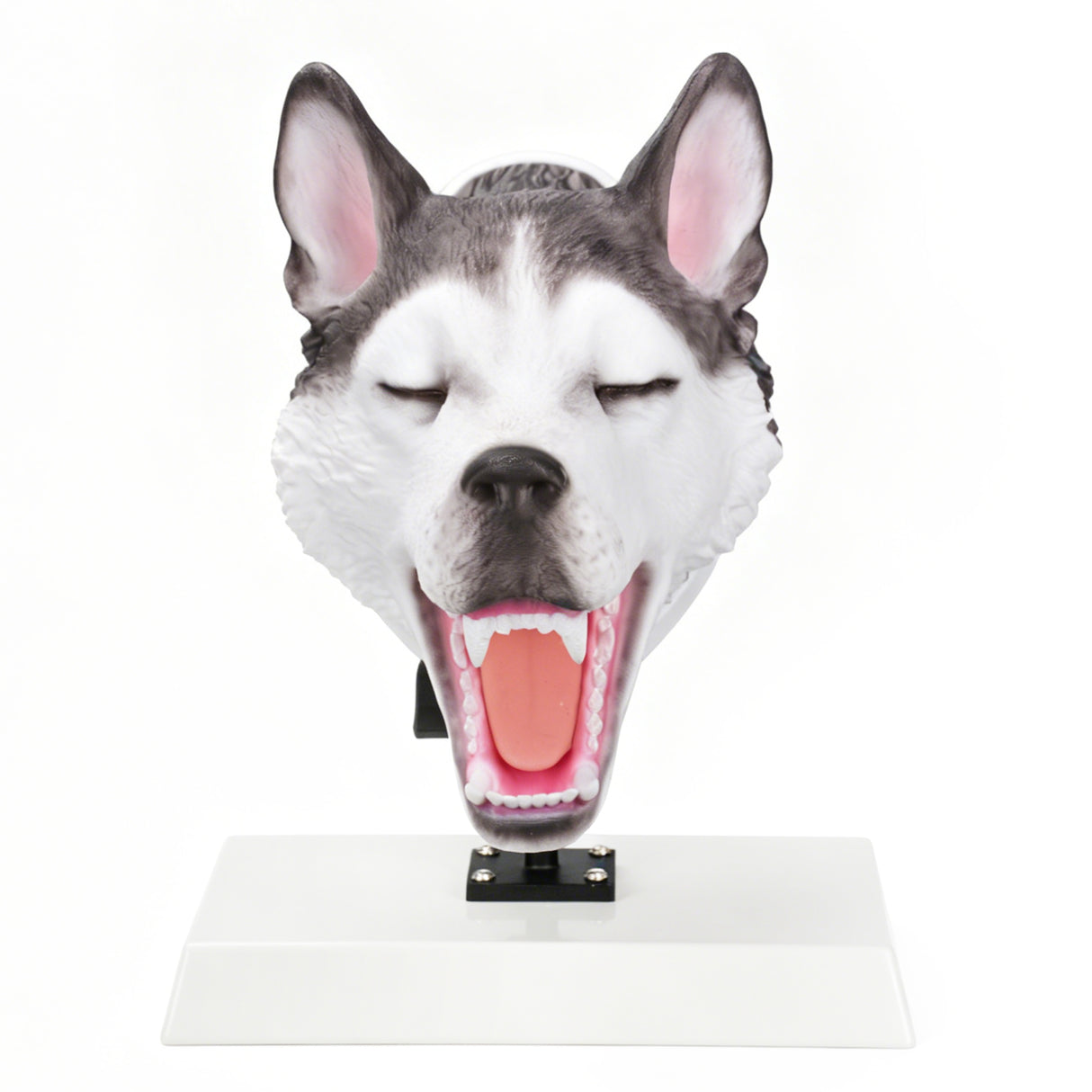 Canine Airway Management Trainer