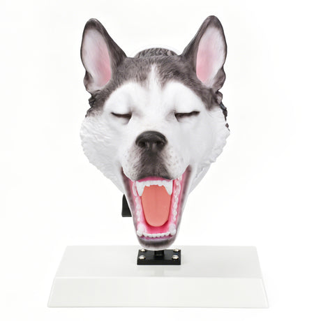 Canine Airway Management Trainer
