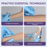 Canine Forelimb IV Injection & Bandaging Training Model