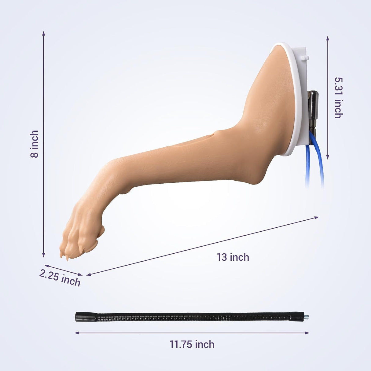 Canine Forelimb IV Injection & Bandaging Training Model