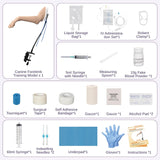 Canine Forelimb IV Injection & Bandaging Training Model