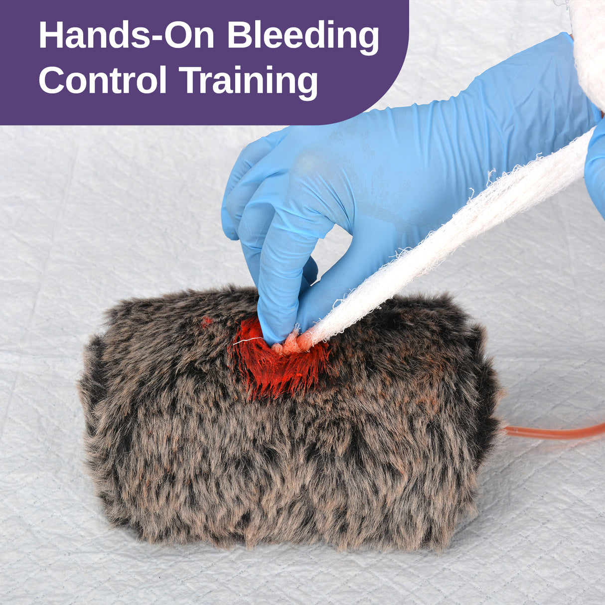 Canine Gunshot Wound Packing Task Trainer