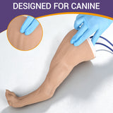 Canine Hind Limb Saphenous Vein Injection Trainer