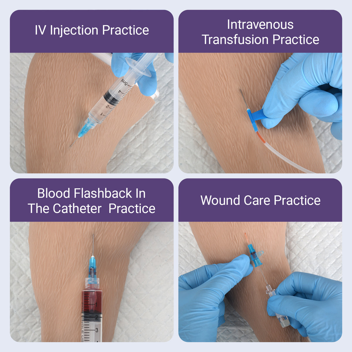 Canine Hind Limb Saphenous Vein Injection Trainer