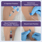 Canine Hind Limb Saphenous Vein Injection Trainer