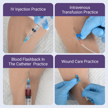 Canine Hind Limb Saphenous Vein Injection Trainer