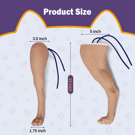 Canine Hind Limb Saphenous Vein Injection Trainer