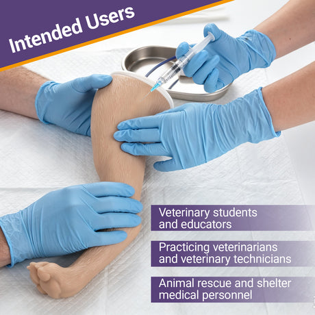 Canine Hind Limb Saphenous Vein Injection Trainer