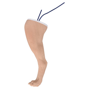 Canine Hind Limb Saphenous Vein Injection Training Model