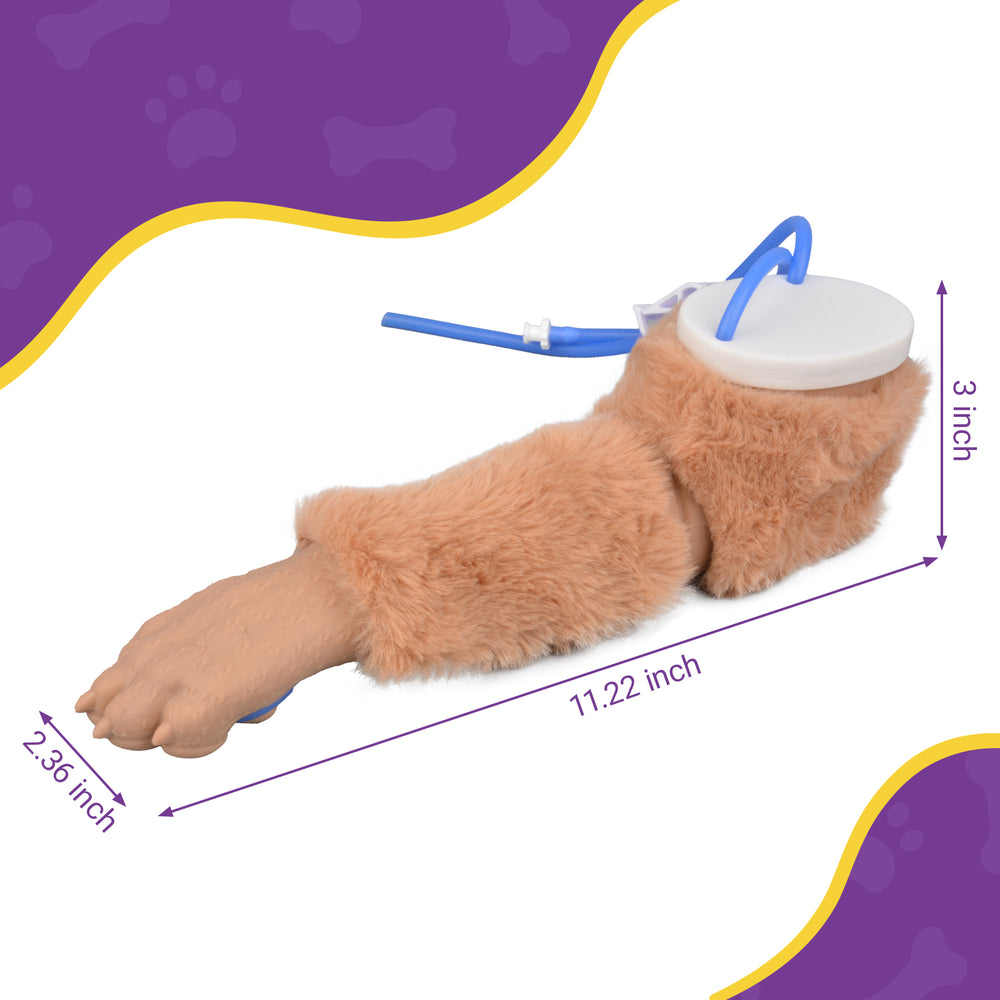 Canine IV Model Size Information for Training Use