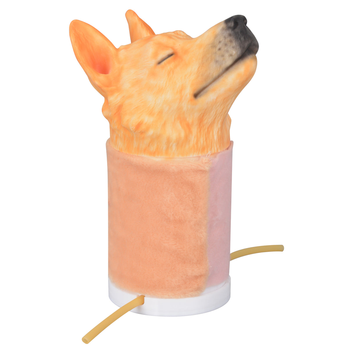 Canine Jugular Venipuncture Head Simulator