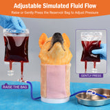 Canine Jugular Venipuncture Training Model