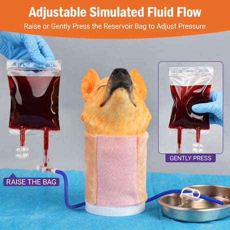 Canine Jugular Venipuncture Training Model