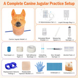 Canine Jugular Venipuncture Training Model