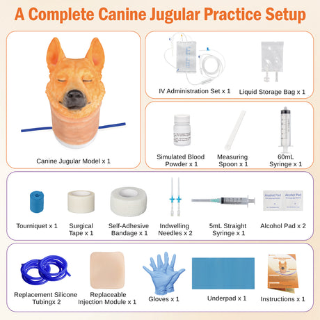 Canine Jugular Venipuncture Training Model
