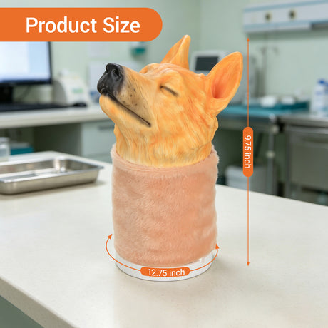 Canine Jugular Venipuncture Training Model