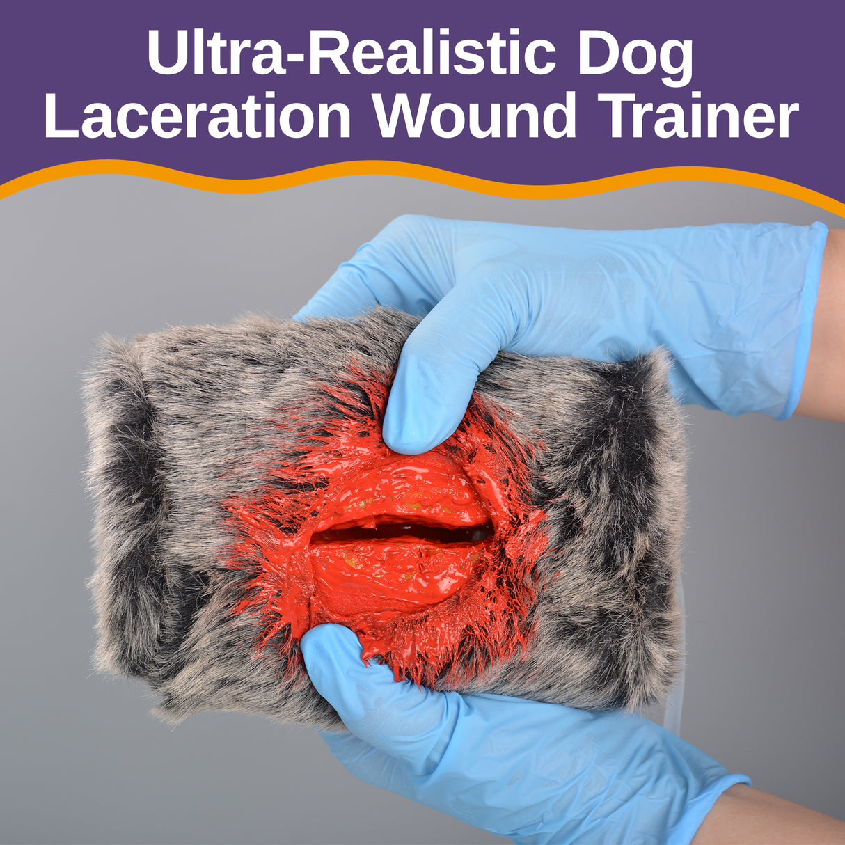 Canine Laceration Stop the Bleeding Trainer