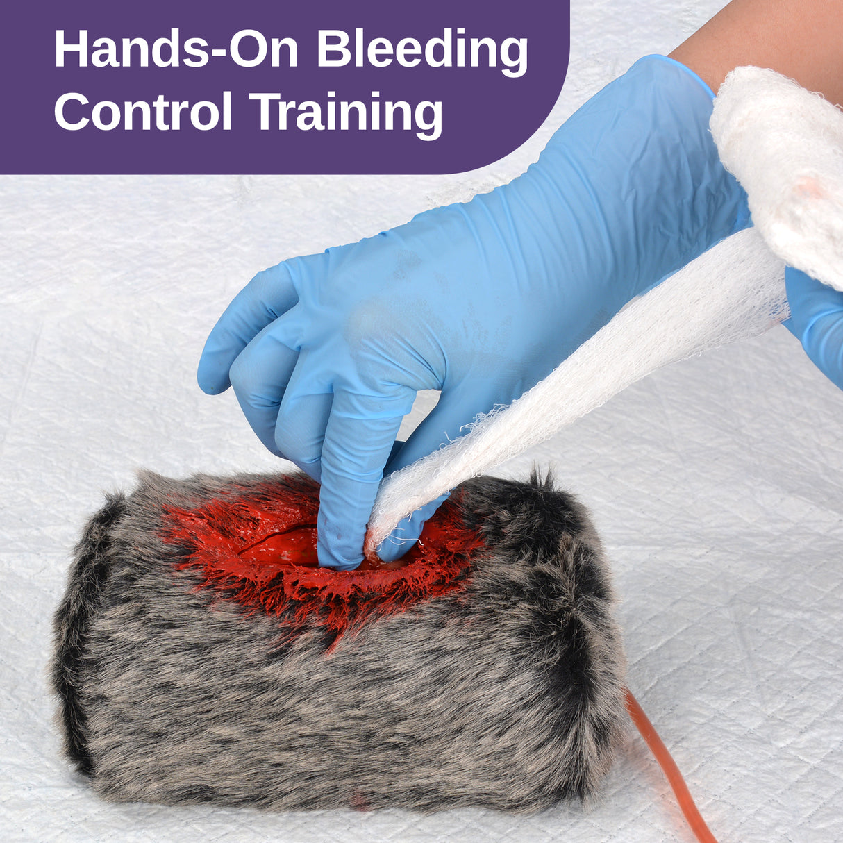 Canine Laceration Stop the Bleeding Trainer