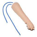 Dog IV Injection And Catheter Practice Trainer