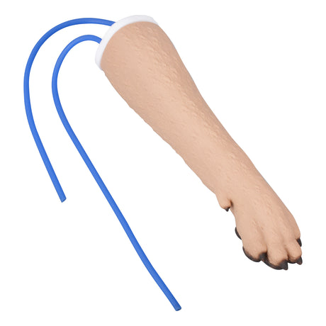 Dog IV Injection And Catheter Practice Trainer