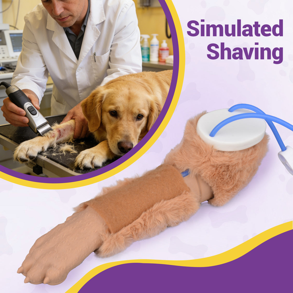 Dog IV Injection Prep Shaving Training Model