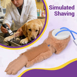 Dog IV Injection Prep Shaving Training Model