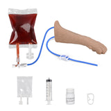 Feline IV Practice Kit with Forelimb Model