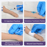 Feline IV Practice Kit with Forelimb Model
