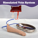 Feline IV Practice Kit with Forelimb Model