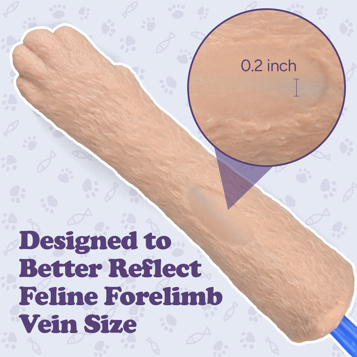 Feline IV Practice Kit with Forelimb Model