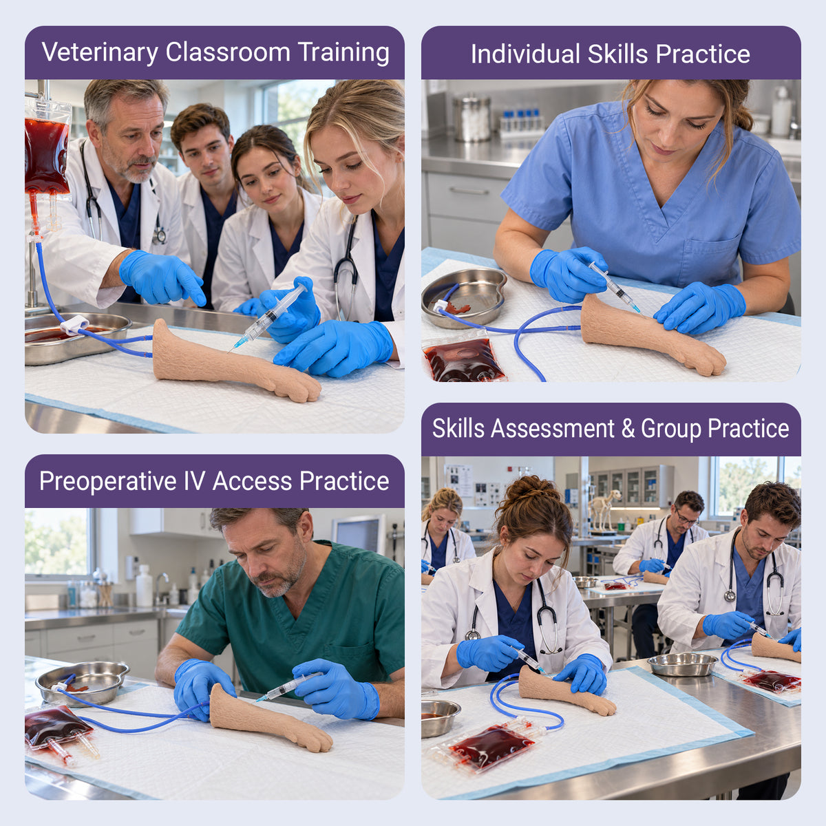 Feline IV Practice Kit with Forelimb Model