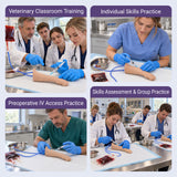 Feline IV Practice Kit with Forelimb Model