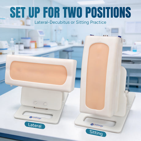 Portable Adult Lumbar Puncture Trainer