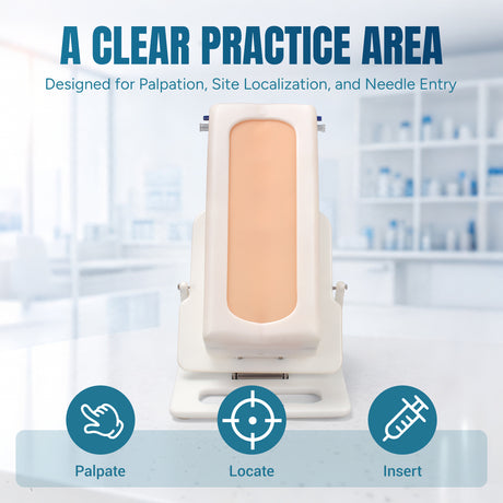 Portable Adult Lumbar Puncture Trainer
