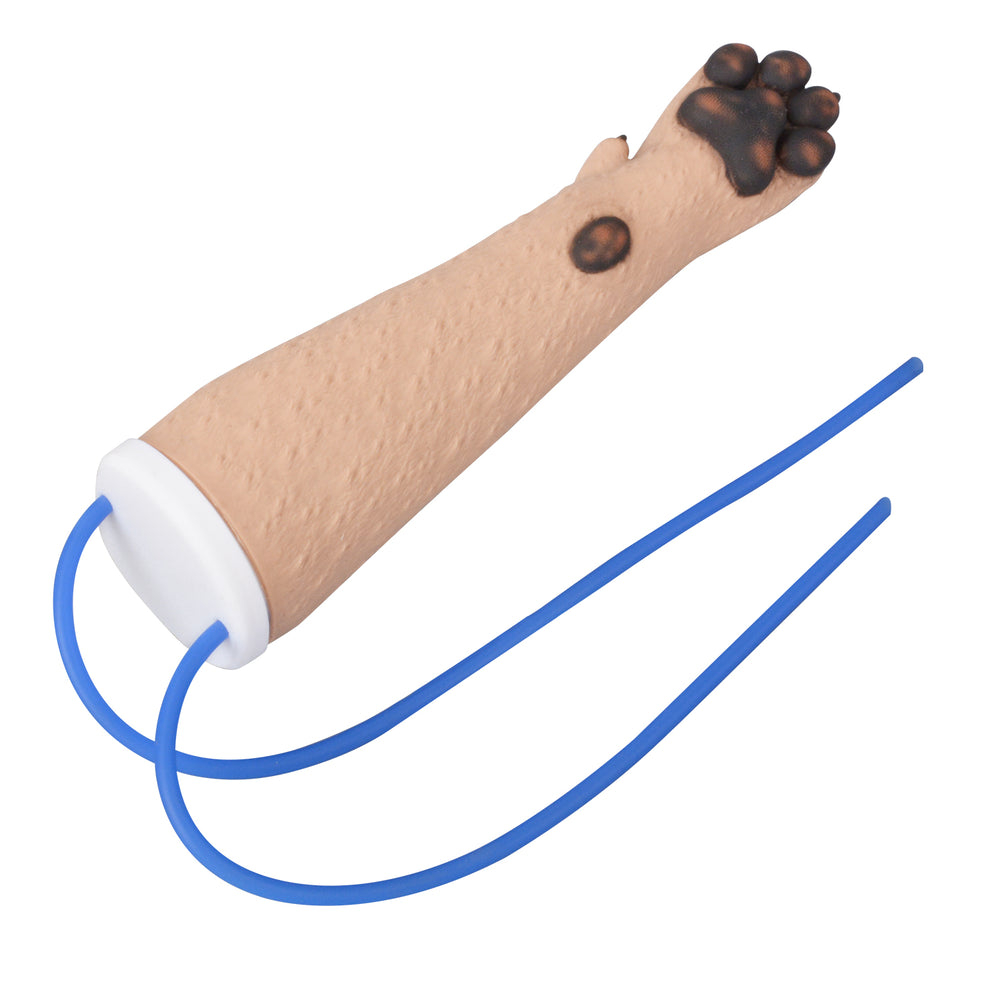 Realistic Canine IV Catheter Training Foreleg Model