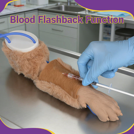 Veterinary IV Catheter Placement Practice Model